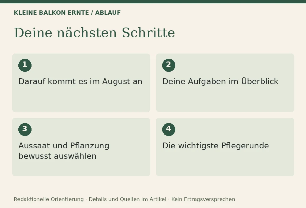 Was du im August noch aussäen kannst: Ablauf