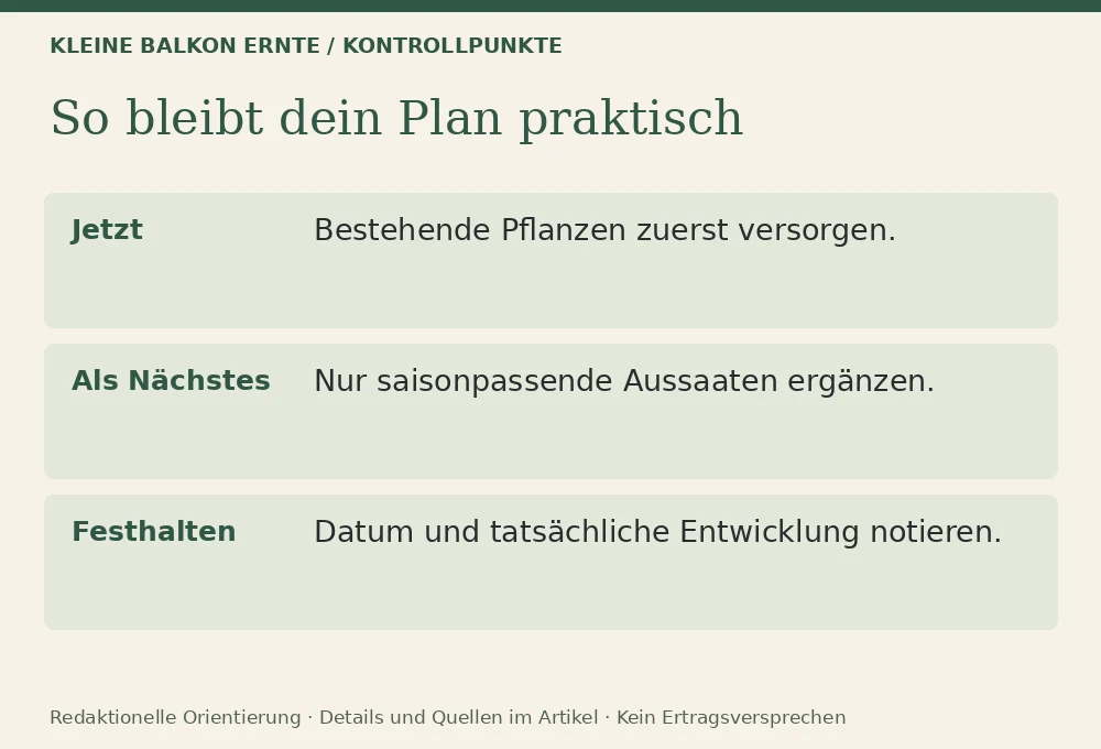 Was du im August noch aussäen kannst: Kontrollpunkte