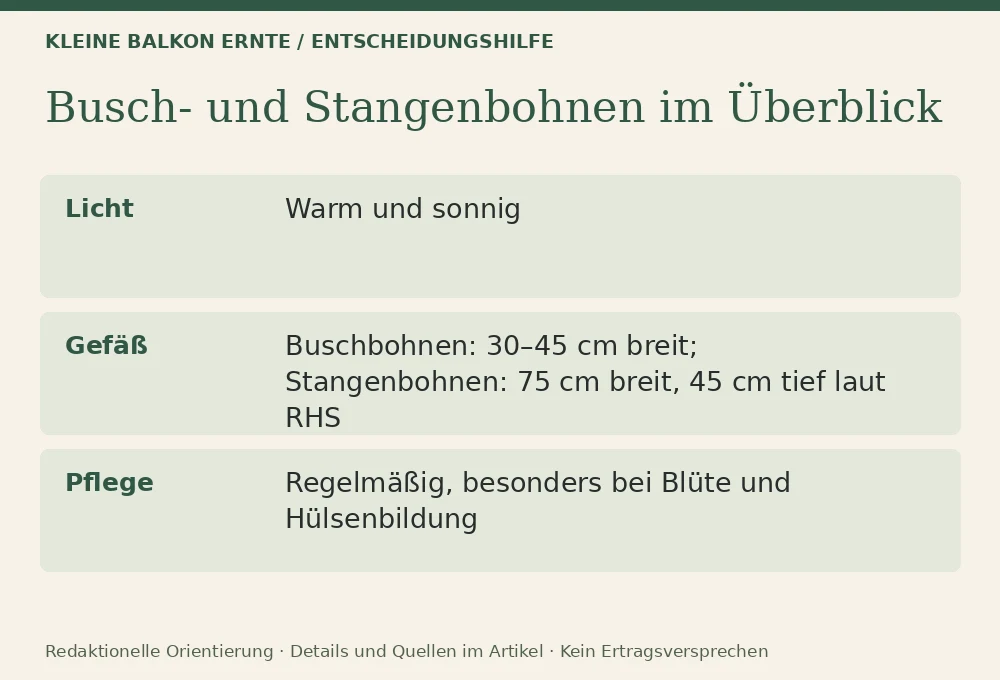 Bohnen auf dem Balkon: Entscheidungshilfe