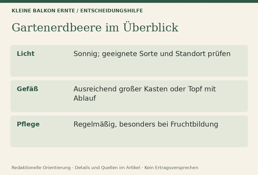 Erdbeeren auf dem Balkon: Entscheidungshilfe