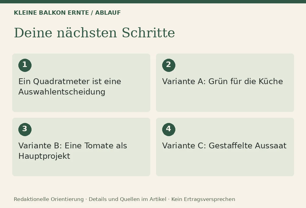 Was kann man auf 1 m² anbauen?: Ablauf