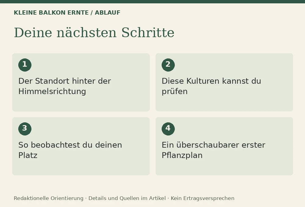 Gemüse für einen Ostbalkon: Ablauf