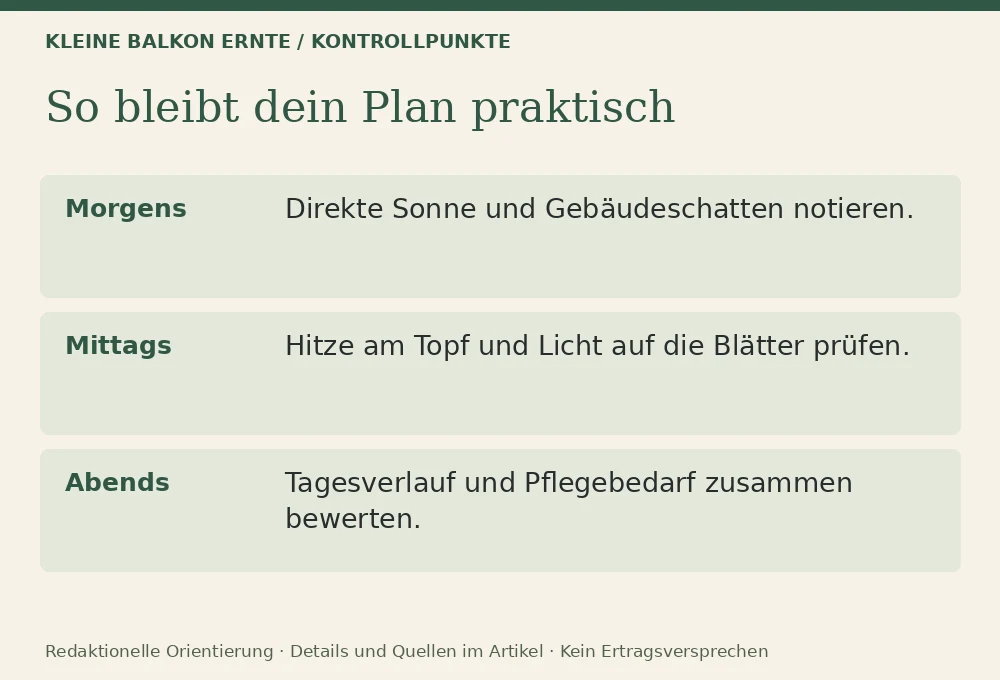 Gemüse für den Südbalkon: Kontrollpunkte