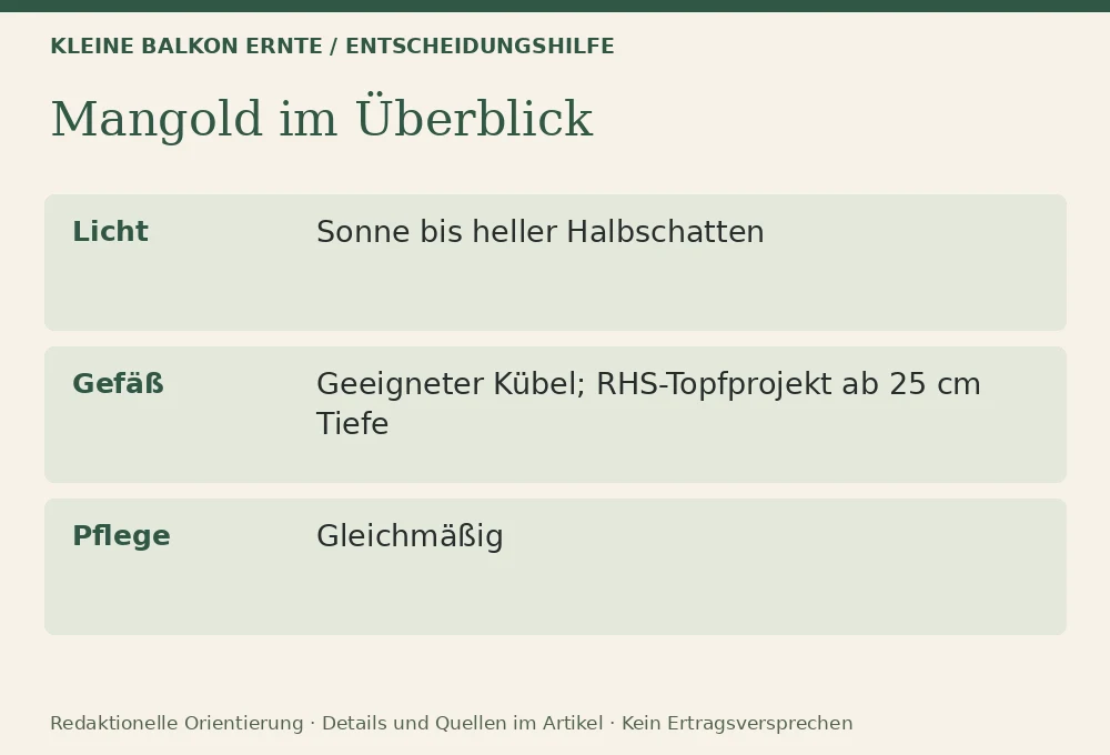 Mangold im Kübel: Entscheidungshilfe