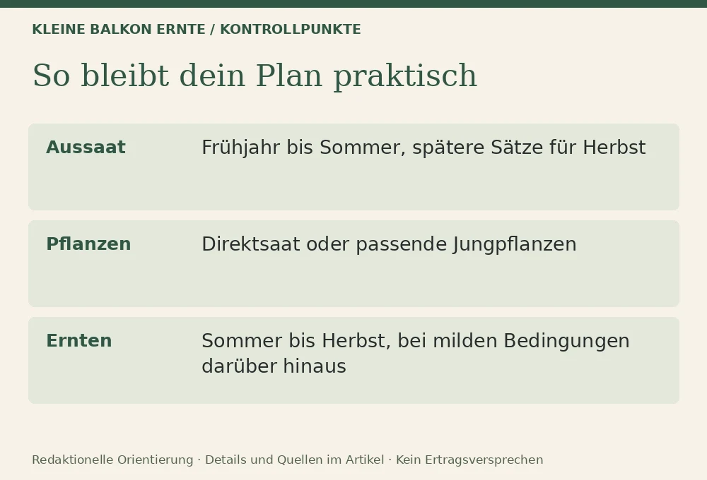 Mangold im Kübel: Kontrollpunkte