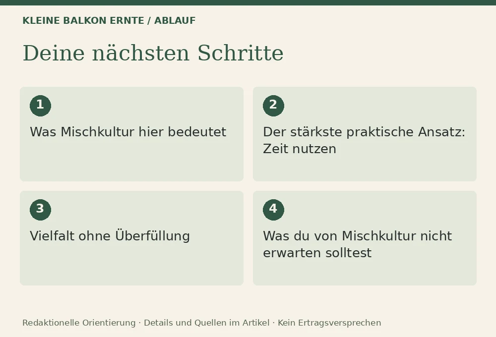 Mischkultur auf dem Balkon: Was sinnvoll ist: Ablauf
