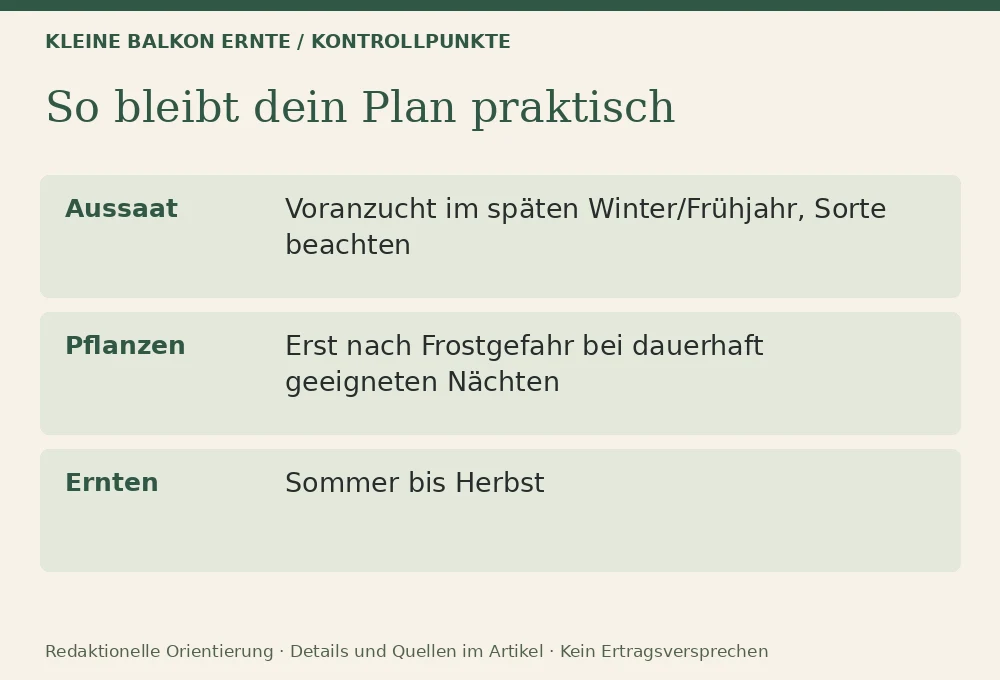 Paprika und Chili auf dem Balkon: Kontrollpunkte
