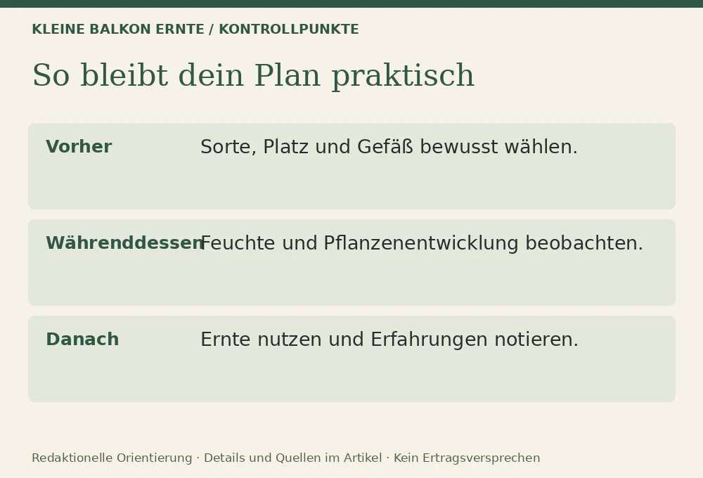 Pflanzplan für 3 m² Balkon: Kontrollpunkte