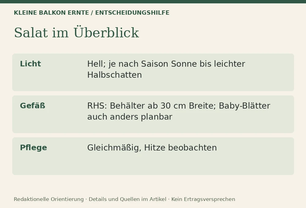 Salat auf dem Balkon anbauen: Entscheidungshilfe