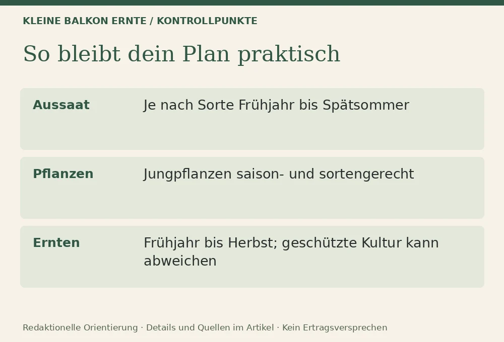 Salat auf dem Balkon anbauen: Kontrollpunkte