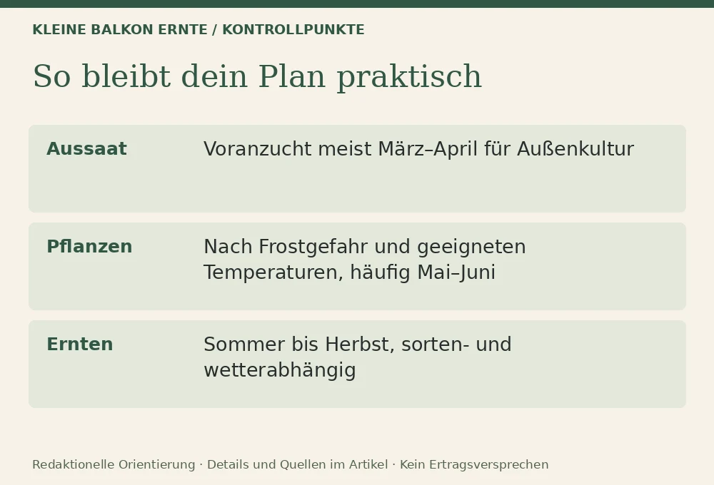 Tomaten im Topf anbauen: Kontrollpunkte