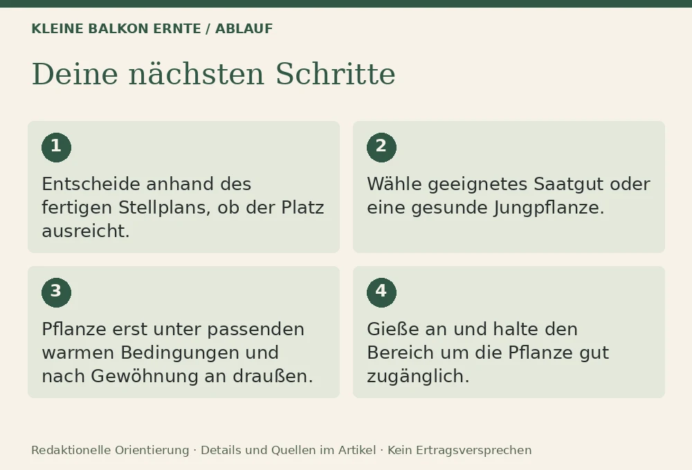 Zucchini auf dem Balkon: Wann es sinnvoll ist und wann nicht: Ablauf