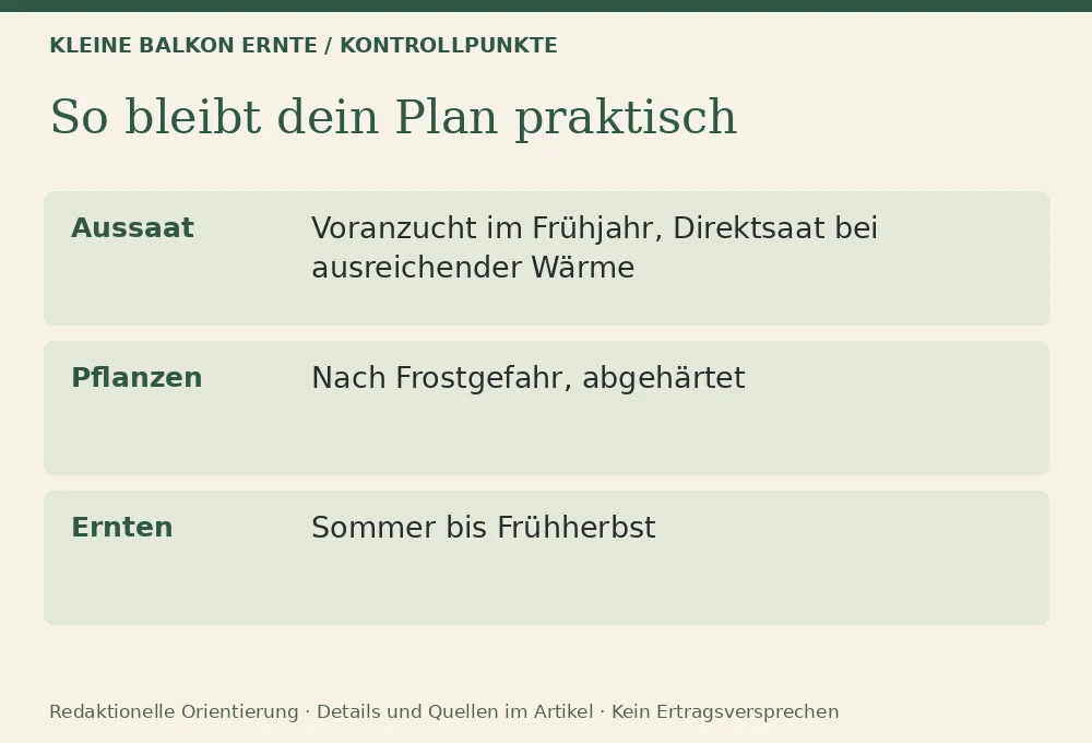 Zucchini auf dem Balkon: Wann es sinnvoll ist und wann nicht: Kontrollpunkte