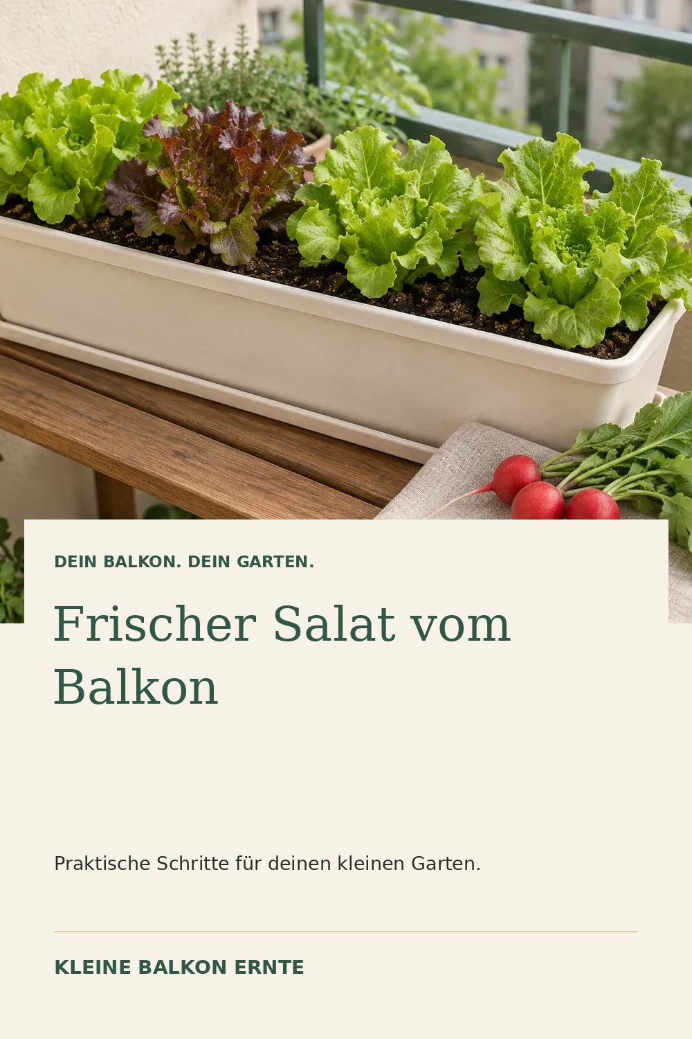 Pinterest-Grafik: Salat auf dem Balkon anbauen – Variante 1